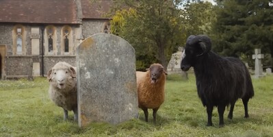 Media 8210_the sheep detectives_hambleden square_1.jpg